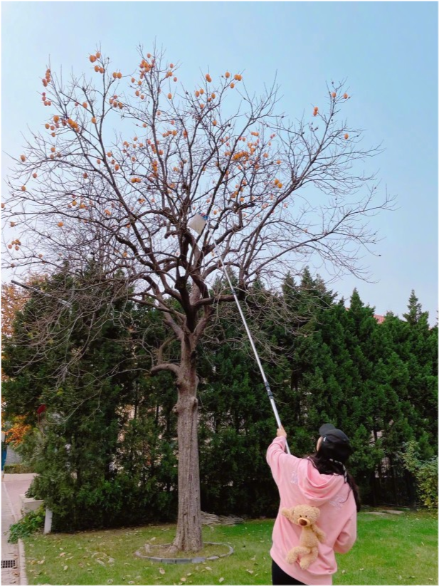 陈好|43岁陈好庆生太低调！穿薄纱尽显豪门阔太范，状态丝毫不输巅峰期