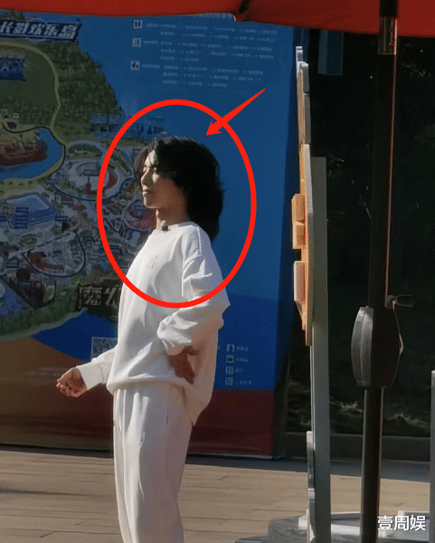 张柏芝|华晨宇最新发型曝光，比女生的头发还前卫，网友：怎么像阿姨？