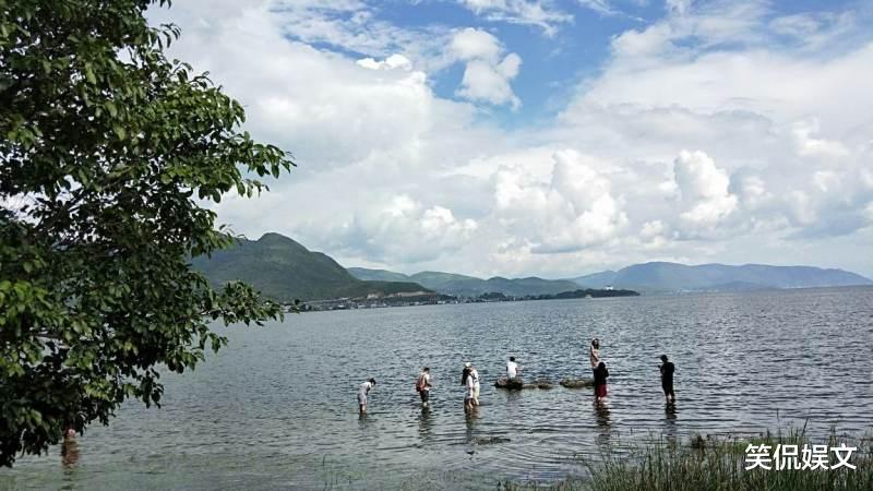 杨丽萍|杨丽萍的宫殿被查！华丽的外表下内部却及其肮脏！究竟怎么了？