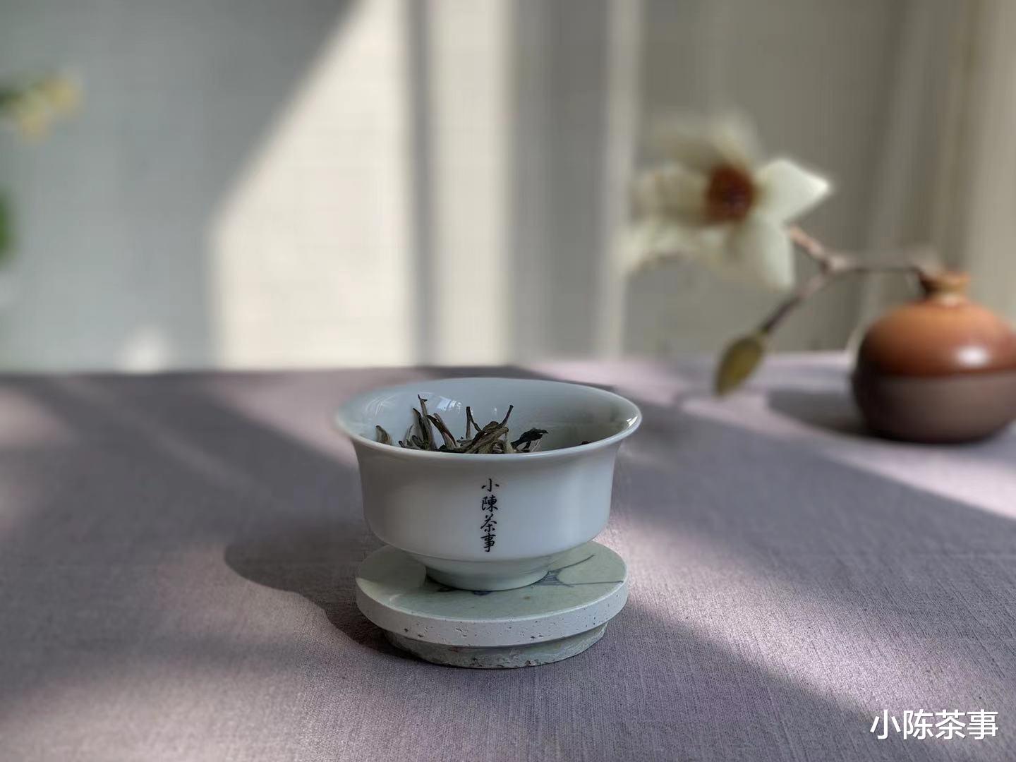 小陈茶事 茶掌柜的卖茶套路，这4个劣质白茶才用的招数，老茶客一眼看穿