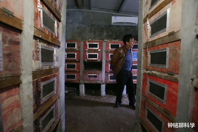 浙江省 1天被蛇咬上百口，浙江一村庄与300万条蛇生存40年，靠蛇赚钱