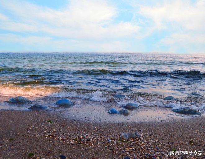 昕月蓝殇美文苑|天涯海角，思念依旧
