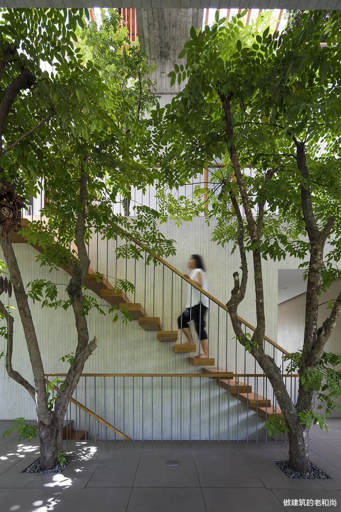 |占地250㎡的住宅，以毗邻的公园为契机，构筑一个森林家居空间