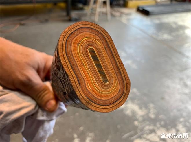 全球猎奇菌 32张照片告诉你，时间的力量有多恐怖