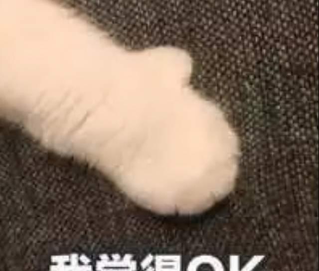 长津湖|老外怎么看《长津湖》？战斗民族求出俄文版，不然就只能下盗版了