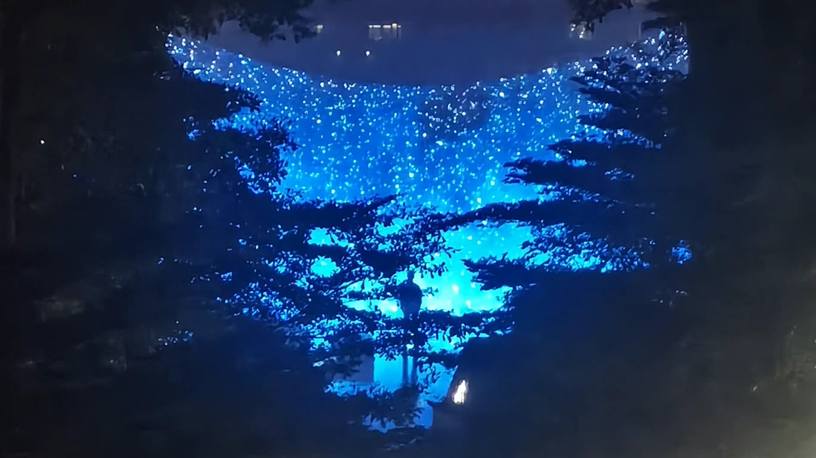 bilibili|没流量？黑肖战的KOL转移阵地找替补，是现在的肖战你们黑不起了