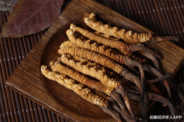 冬虫夏草|新希望！冬虫夏草中发现有效抗癌物质，28名晚期患癌者显示出积极效果