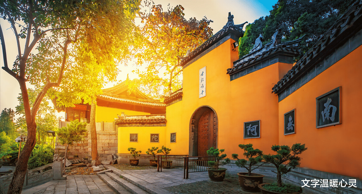 腹泻|人到中年，最高级的养生，不是睡觉，不是锻炼！而是这个“少”字！