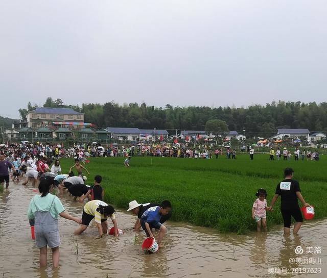 岳阳广电 华容县禹山镇第二届“泥鳅节”欢乐来袭