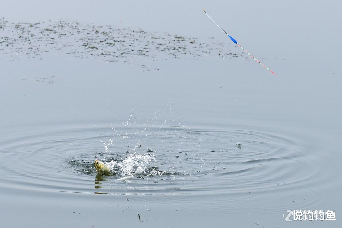 |新手调整浮标时常忽视浮力的问题，很多外力因素又影响了浮力……
