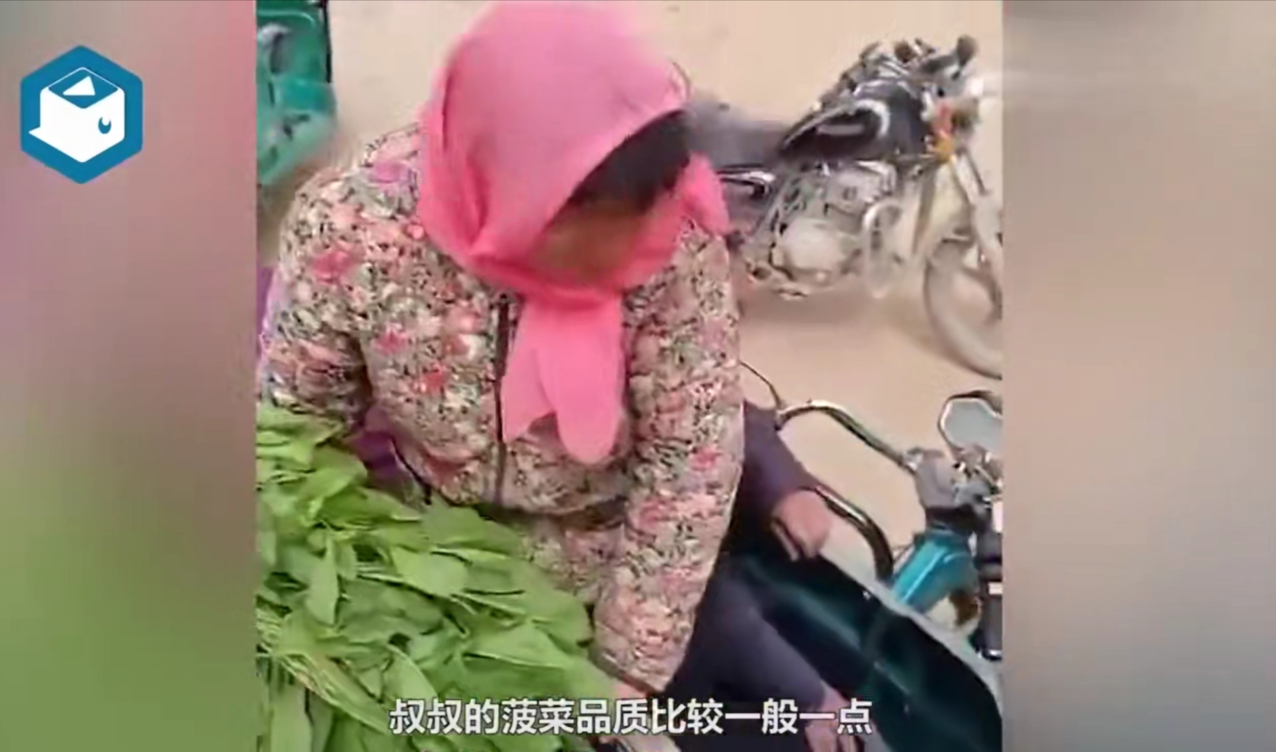 王郁夫 农民夫妻1300斤菠菜卖了15元