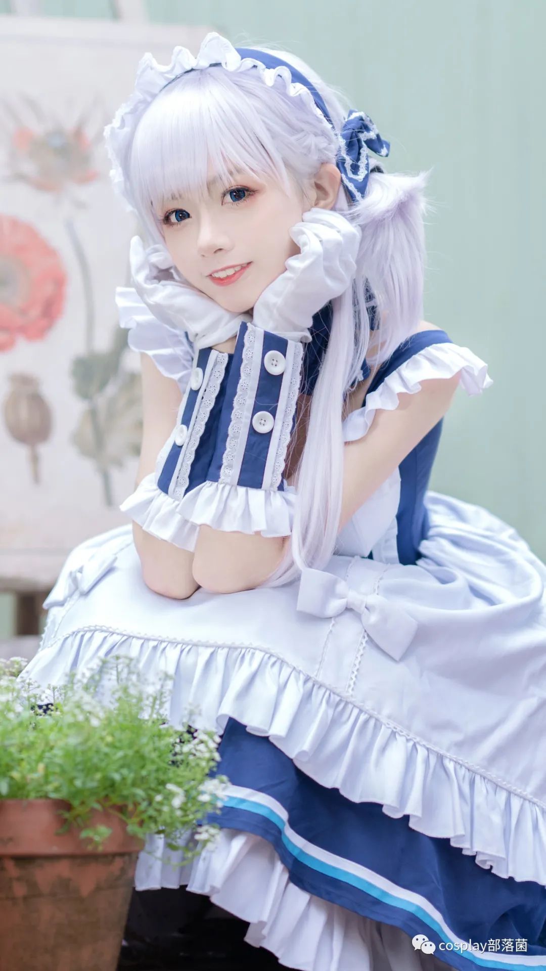 贝尔法斯特|cos：碧蓝航线小贝尔法斯特cos正片@菌儿