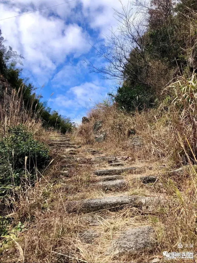 钦州|这条被誉为“浙江西南第一岭”的红枫古道你去过吗？