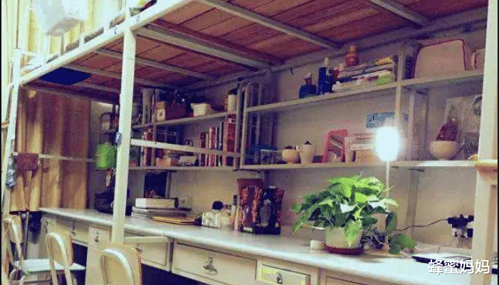 蜂蜜妈妈|大学寝室被曝光,最好的宿舍vs最差的宿舍,差距太明显