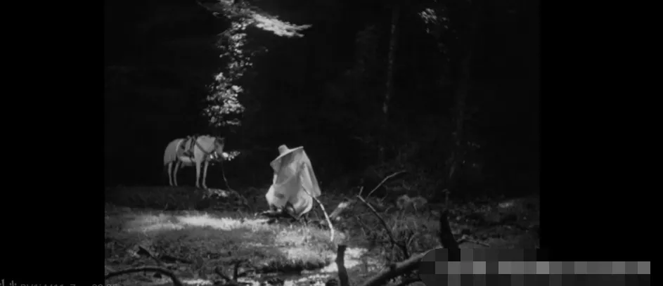 罗生门|知名导演深陷虐待丑闻，全网索要“原始视频”：果然又是他！