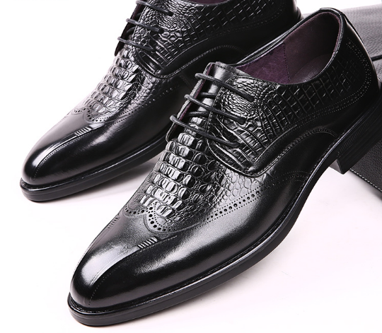 鳄鱼 鳄鱼之哀歌:一部2亿年的悲惨奋斗史,海陆双线进军,却惨败而归