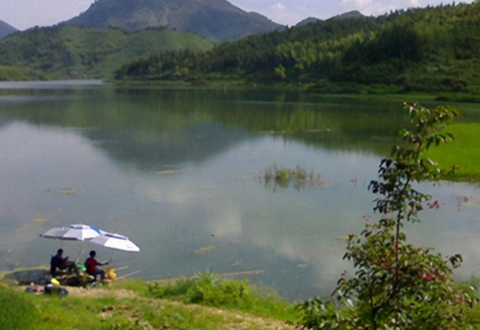 |夏季雨天钓鱼的钓法绝招，一般钓鱼人学不来——盛世三渔