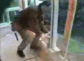 江豚|“马总化腾的女儿,以后谁娶了她就不用愁了”