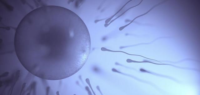 基因 卵子有时候会更偏爱某些人的精细胞，甚至为其“开后门”？