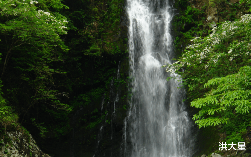 洪大星 双鱼跟什么星座般配，天蝎就是首当其冲的一个，第二个你知道是谁吗？