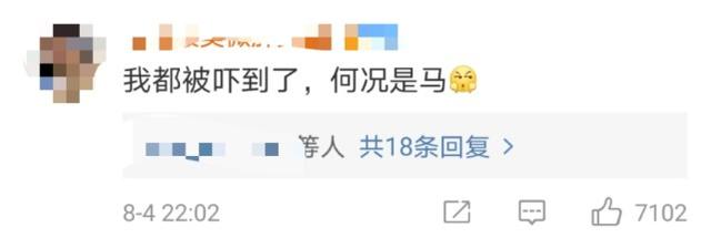 奥运会|钓鱼执法？奥运会马术比赛装饰惹热议，网友：被吓到的不仅是马