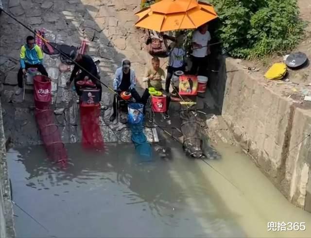 上海市|上海一河道成“天然黑坑”，成百上千钓鱼人聚集于此，网友：壮观