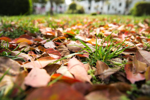 老姚说健康 秋天容易困乏,不妨常吃5种碱性食物,美味营养,帮助顺利过秋季