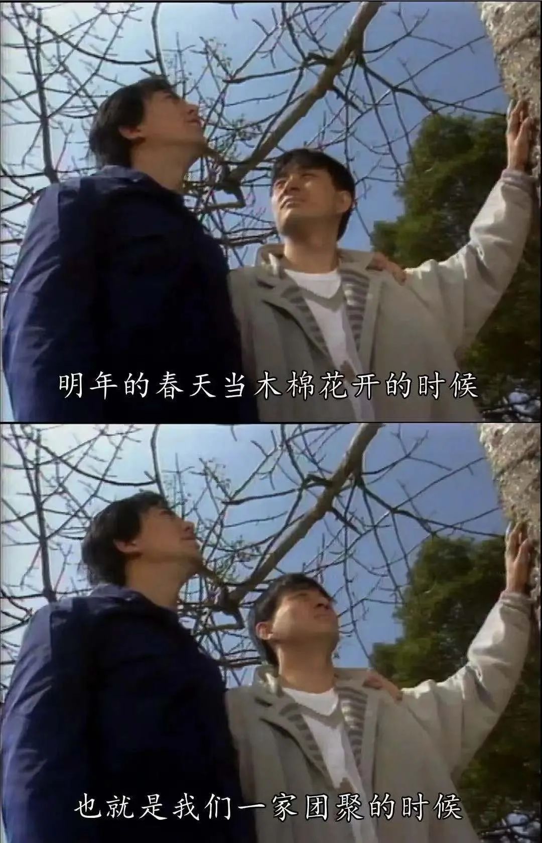 主持人|爱上亲妈,被亲弟强制爱,古早tvb剧到底有多野?