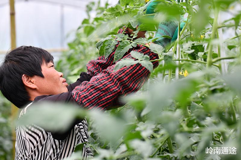 工地|人到中年,40多岁出去找工作难吗?放低姿态,扑下身子,没有问题