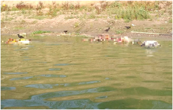 印度開始檢測恒河水，專傢自信滿滿保證：新冠病毒不可能存活其中-圖3