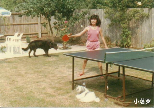 翁美玲|网友们分享的35个罕见的瞬间，只需看不需哭