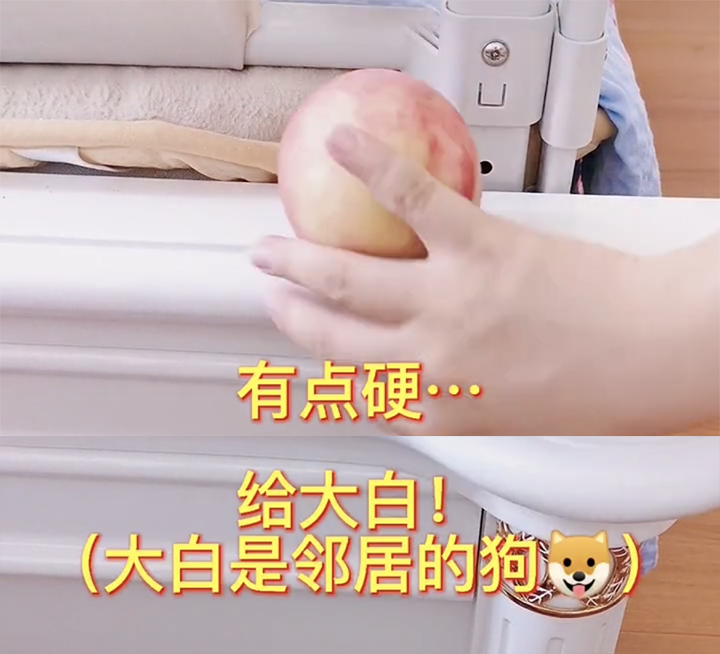 齐姐育儿|“网红宝宝”才22个月词汇量就惊人，家长纷纷取经：咋做到的？