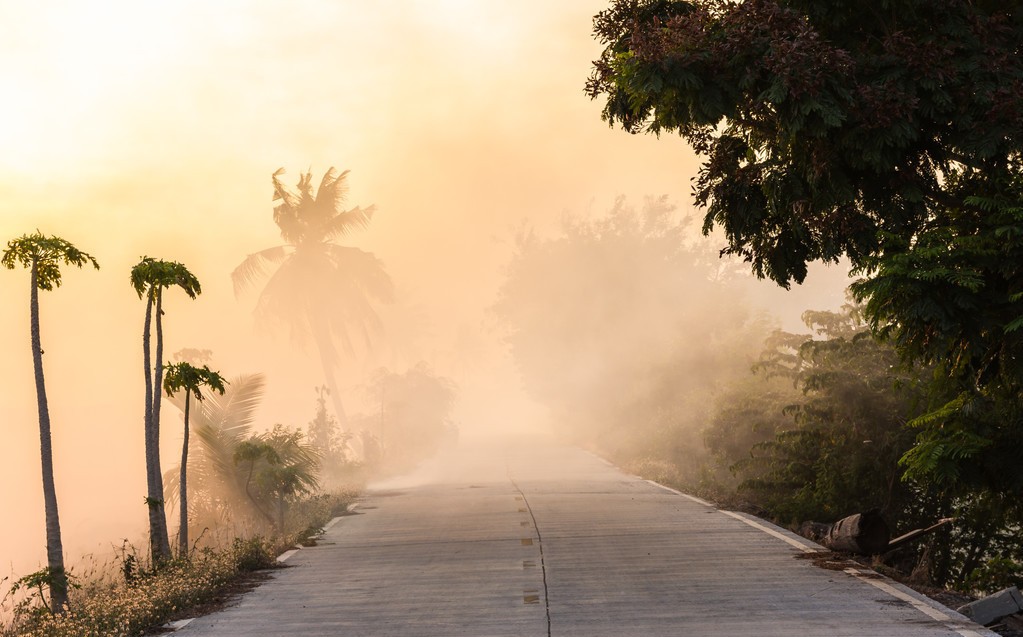 微生物污染 微生物影响着我们的生活