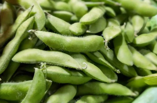 皮炎|长寿食物排行榜，这5种你有没有经常吃？