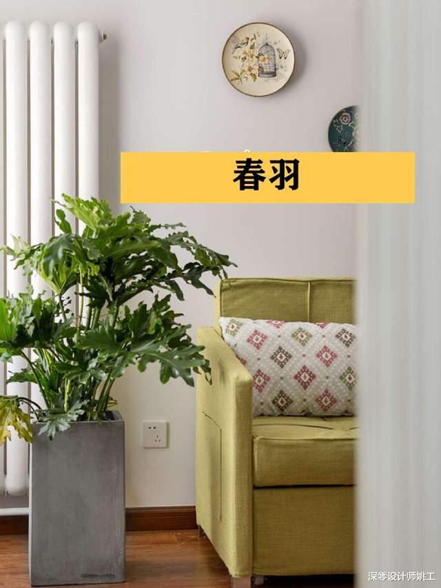 深零设计师姚工|客厅里差了点意思，可能不是装修不好，而是你缺这9种绿植做点缀