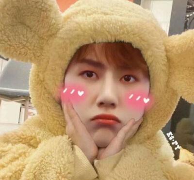 王一博|王一博片场逗猫太投入，被叫去工作后，温柔的反应好像百里弘毅