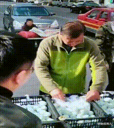 学姐说育儿|兄弟,不要以为关上车窗就能为所欲为了,我在外面都看见了