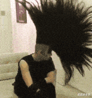 晨晨说生活 “北方人请客时说点几个硬菜，到底什么硬菜？”哈哈哈又涨姿势了