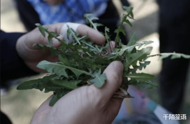 脑梗|龚清孝:只因口渴吃了把草,从此就戒不掉了,34年吃了40吨