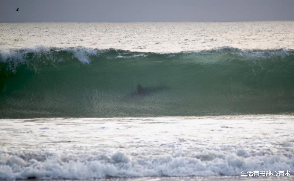 生活有书静心有术 涨知识,史上最壮观的七个巨型海浪