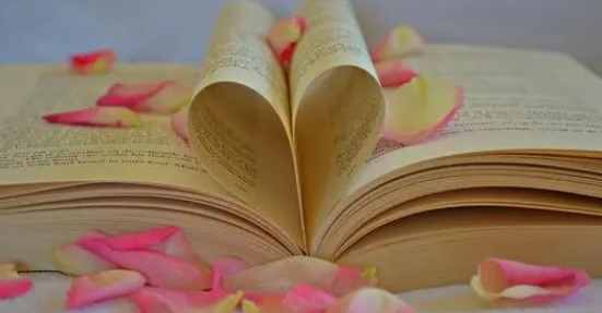 小海豚吖|表面活泼,背后却感受孤独,气质独特的星座,思想深邃