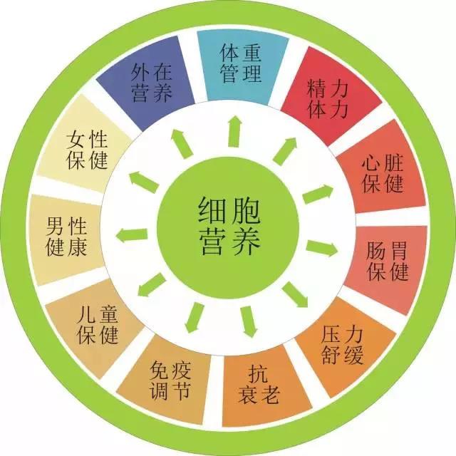 养生|养生的终极目的,是让细胞健康