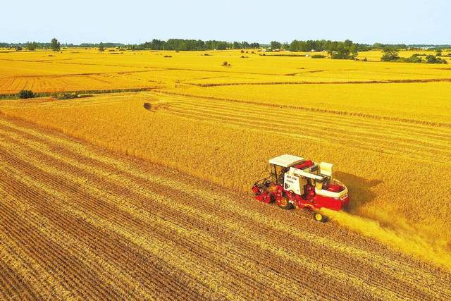 河南 如果遗忘了河南，你就遗忘了老家