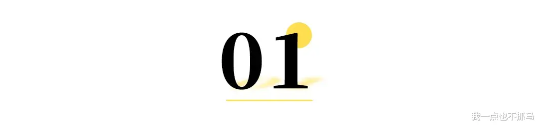 胡海泉|中年胡海泉：贵圈智力天花板