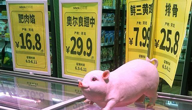 月儿弯弯的夜晚 过年猪肉会降价吗？这一消息已“官宣”，大口吃肉不愁了？