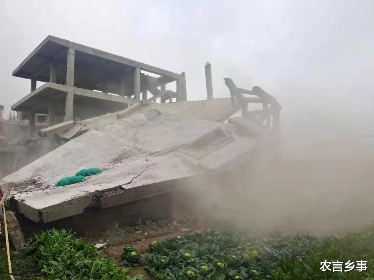 宅基地|新规出台后，建房不能随意了，有2类情况闹也没用，还不能确权