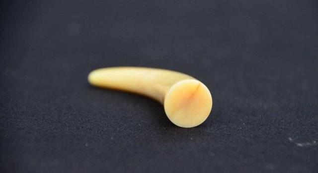 文玩|亲，想吃免费“牢饭”吗？这7种文玩可以帮你，只要购买一种就行