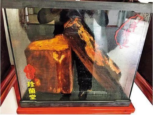 案涉6.6亿元,赣州检察机关依法对一传销团伙提起公诉