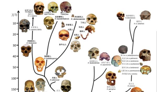 科学家 为什么科学家总是拿小白鼠做实验，它到底特殊在哪？