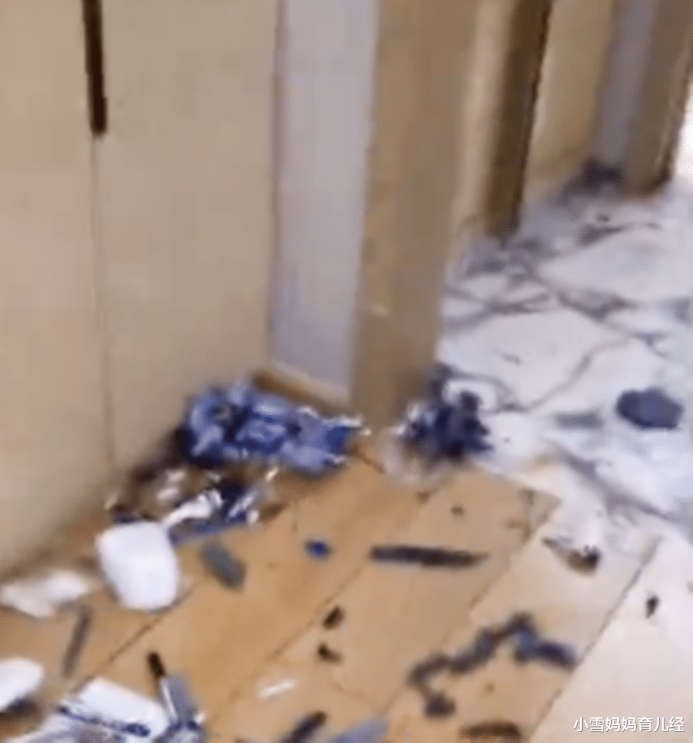 小雪妈妈育儿经|父子吵架酒后砸碎儿子收藏的模型,碎的不只是模型,还有孩子的心